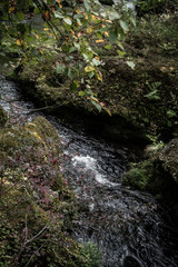 小川