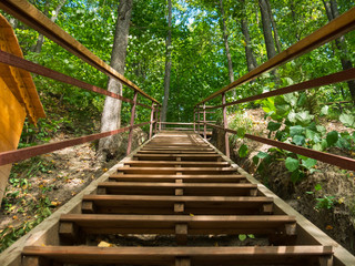 Wooden stair in the summer forest. Travel concept - Powered by Adobe