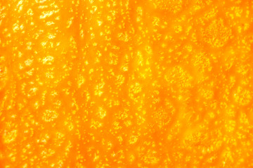 Ripe fresh pumpkin closeup, background . Yellow orange pumpkin. Pumpkin skin texture