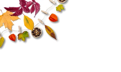 Autumn.