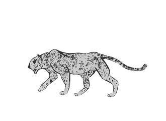 Основные RGB