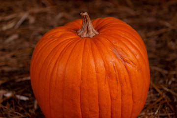Big orange fresh pumpkin on hay. Thanksgiving day concept with copy space for text