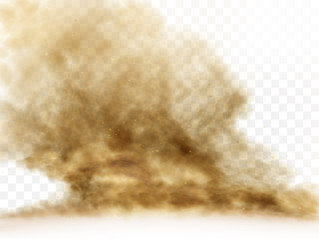 Desert sandstorm, brown dusty cloud or dry sand flying with gust of wind, big explosion realistic texture with small particles or grains vector illustration isolated on transparent background