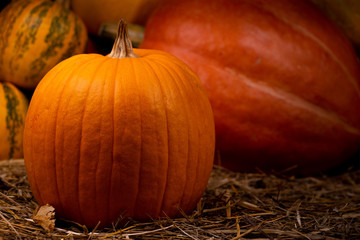 Big orange fresh pumpkin on hay. Thanksgiving day concept with copy space for text