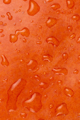 Closeup Abstract Textured Background of a wade orange Pumpkin