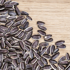 Striped sunflower seeds close up on wood with copy space. Top view. Natural background with small kernels.