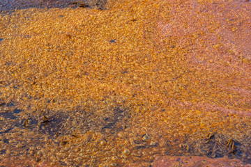 Bubbles, bubbles, methane, carbon dioxide which is caused by sewage