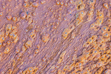 Bubbles, bubbles, methane, carbon dioxide which is caused by sewage