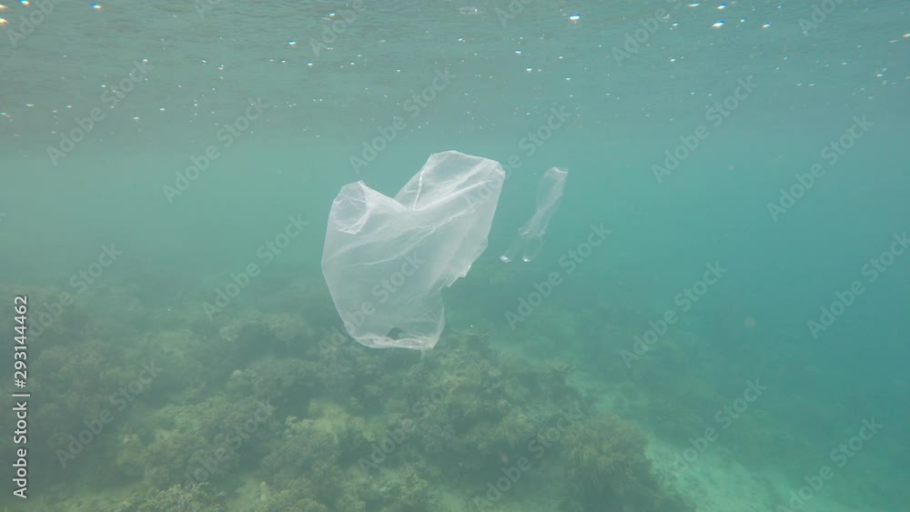 Poster plastic bag drifting over coral reef with fish