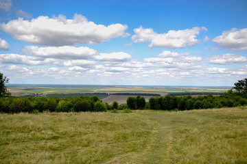 landscape with green - yellow  field and blue sky