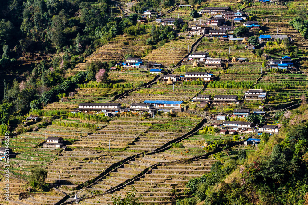 Wall mural Asian mountain village Ghandruk and terrace fields in autumn Nepal, Himalaya, Annapurna Conservation Area