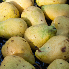 Poires à vendre sur un marché aux fruits
