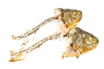 Bones and fish head isolated on white background. Remains of fried fish. food scraps