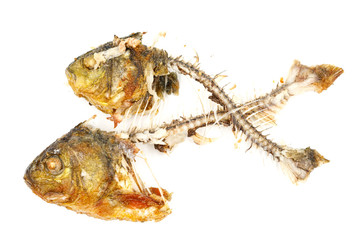 Bones and fish head isolated on white background. Remains of fried fish. food scraps