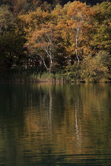 風が吹かない朝の池