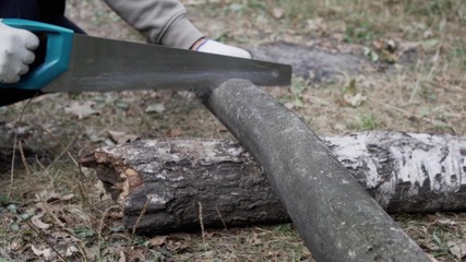 Man Sawing A Small Tree Camp Saw