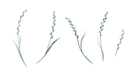 Abstract herbs, watercolor painting on white background, watercolor floral set.