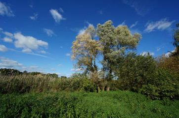 Walking around in Nesvizh Park