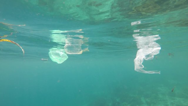 Plastic bags, straws and cups pollution underwater in sea 