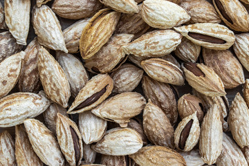 Background of light brown shell almonds, top view
