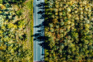 Aerial landscape of autumn forest and free space for your decoration. 