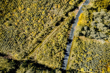 Aerial landscape of autumn forest and free space for your decoration. 