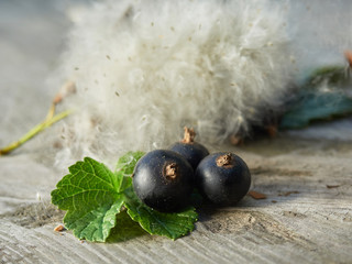 fresh juicy berries of black currant lie on a wooden background