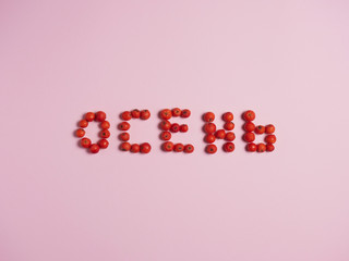 Autumn composition. The word autumn in Russian lined with rowan berries on a pink background