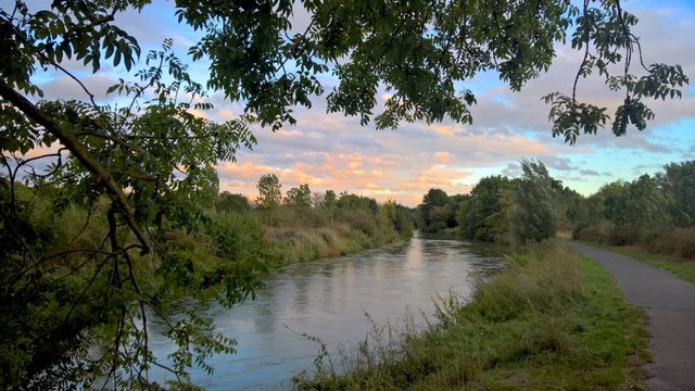der Fluss Erft im Rhein-Erft-Kreis