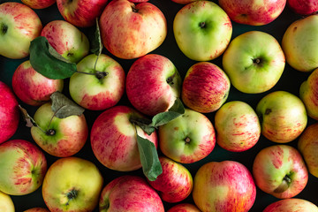 Large group of ripe apples background
