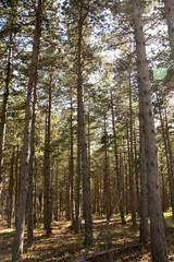 nature landscape with mountains with sunset