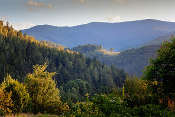 beautiful summer landscape in the Carpathian mountains.