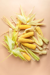 Heap of ripe yellow corn cobs with leaves on pastel pink background