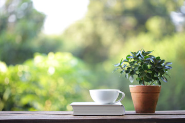 White coffee cup with small plant in old brown pot with white thick book on wooden table at outdoor