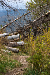 Fototapeta premium Allphotokz Kok Zhailau 20150927 5621 D810 