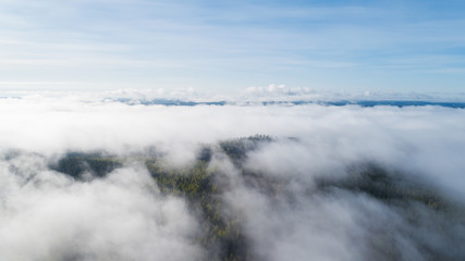 Aerial view of mist,clouds and fog over forest after rain. Sunny morning with blue sky.
