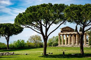Obraz premium See the ruins of Paestum through the trees