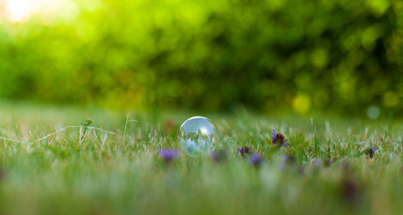 Seifenblase liegt einsam im grünem Gras. Seifenblase vor grünem Hintergrund. Soap bubble lying...