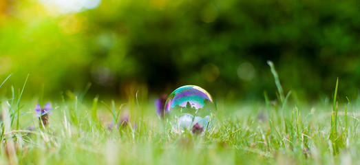 Seifenblase auf grünem Gras. Seifenblase vor grünem Hintergrund. Air bubble on green nature background. - obrazy, fototapety, plakaty