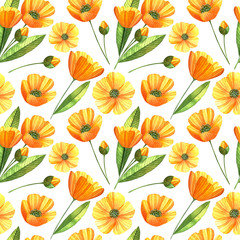 Watercolor seamless pattern with buttercups, leaves and buds on the white background. Hand drawn summer background.