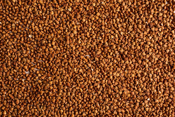 Buckwheat background, texture, the rump. Roasted buckwheat. Useful properties of buckwheat. Garnish.