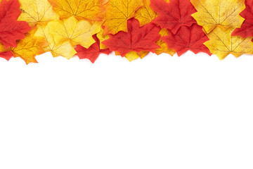 Autumn maple leaves texture. Background. Flat lay, Top view leaves Nature background