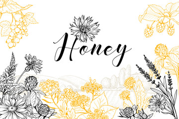 Flower honey vector hand drawn banner template. Natural homemade product poster layout with lettering. Wildflowers sketch on rural village landscape background. Organic food packaging design