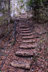 Fototapeta premium Simple wood stairs in cover with leaves