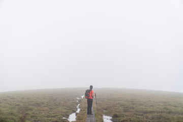 Obraz premium Wicklow way near Roundwood in a day with fog with a excursionist in the wooden path.