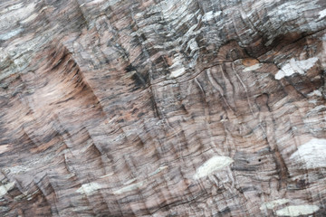 Treibholz, Holzstrukturen, Texturen, entstanden durch Salzwasser, Wind, sonne und Brandung