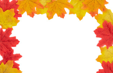 Nature background, Flat lay. Top view Autumn frames maple leaves texture. Background center blank for write text leaves isolate on white background.