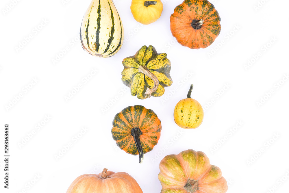 Wall mural autumn flat lay on an isolated white background made of pumpkins.