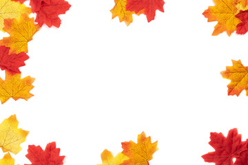 Top view Autumn maple leaves texture. Background center blank for write text leaves isolate on white background. Nature background, Flat lay patterns