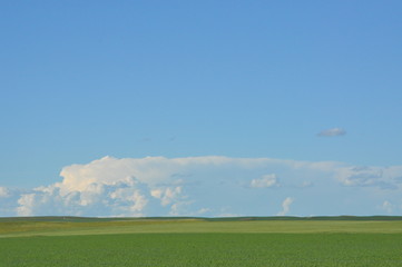 Storm on the Horizon